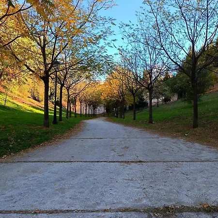 Alberzana - Barrio Albaicin - Apartment